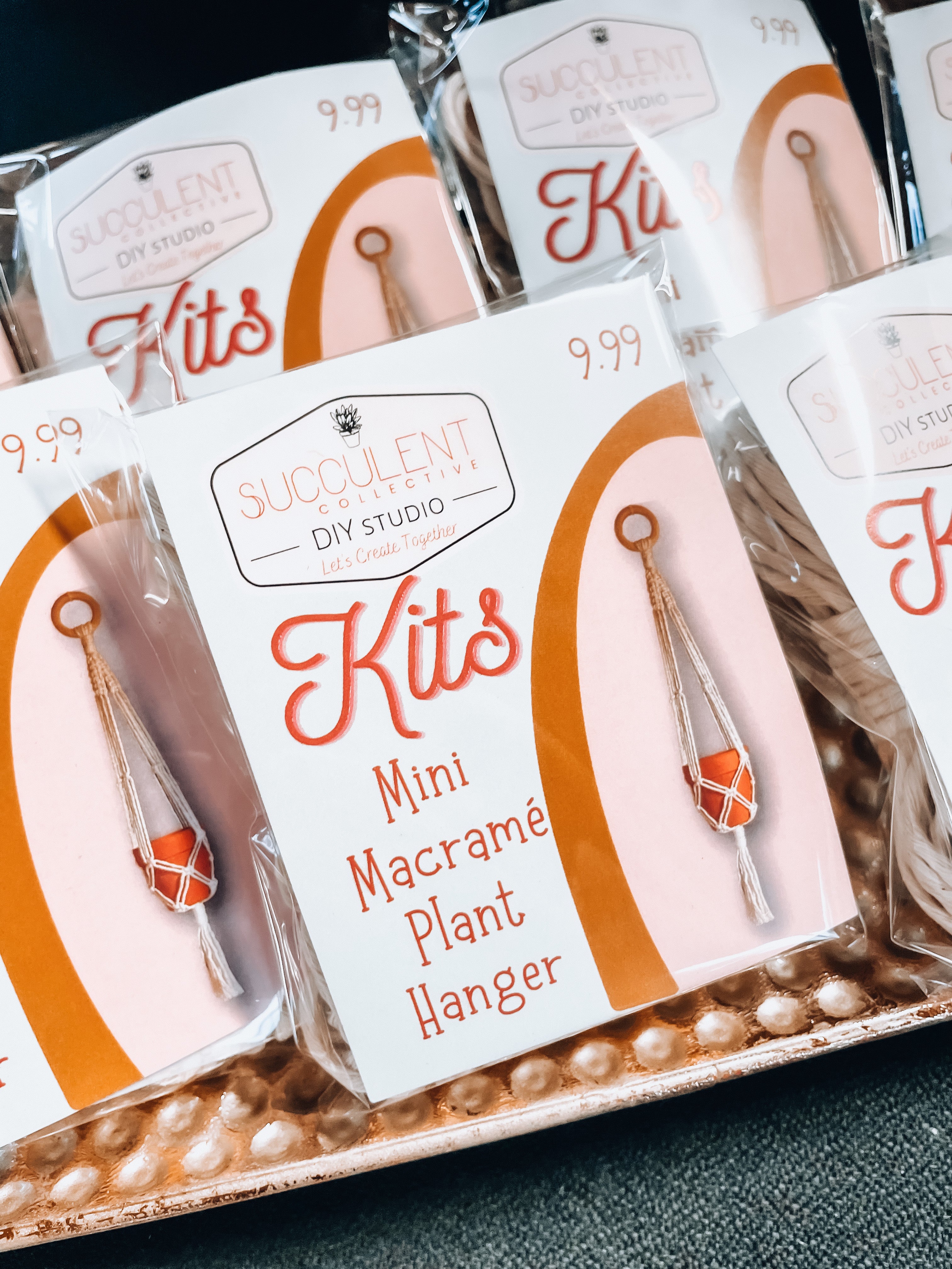 Mini Macramé Plant Hanger Kit